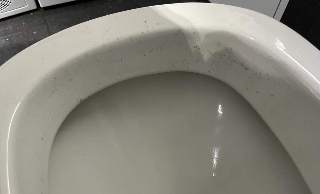 Was ist das? (Schimmel, Toilettendeckel)