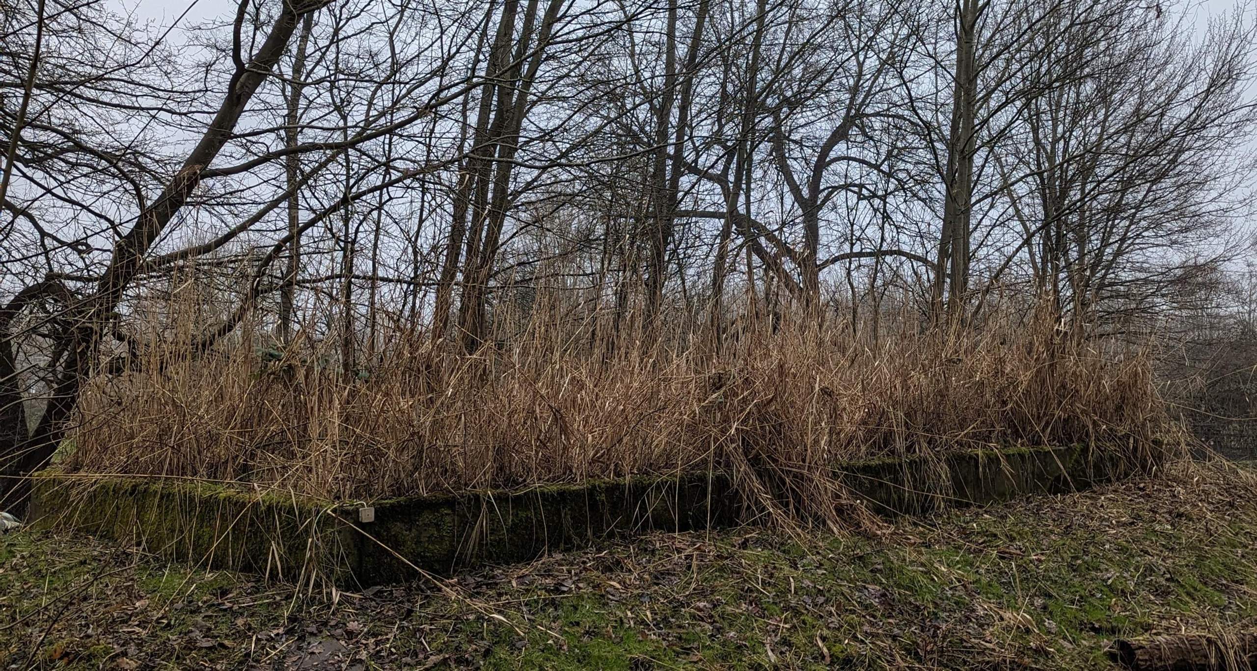 Was ist das? (Militär, deutsche Geschichte, Landschaftsbau)