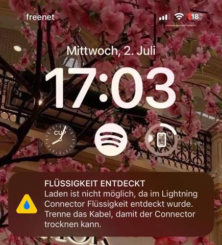 Bild zum Beitrag