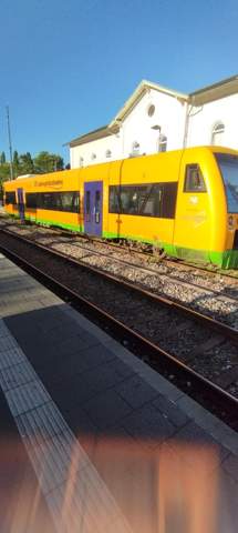 Bild zum Beitrag