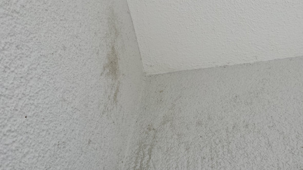 Was ist das an der Außen-Fassade? Und wie bekomme ich das weg? (dunkle