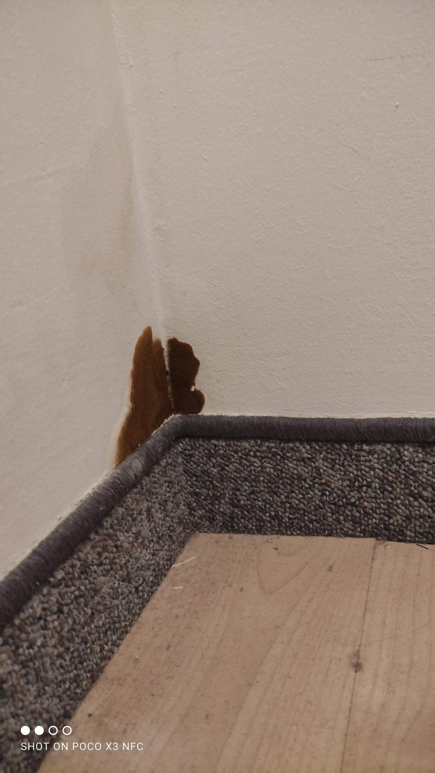 Was ist das an der Wand. Es ist so staubig? (Gesundheit, Deutschland, Arbeit)
