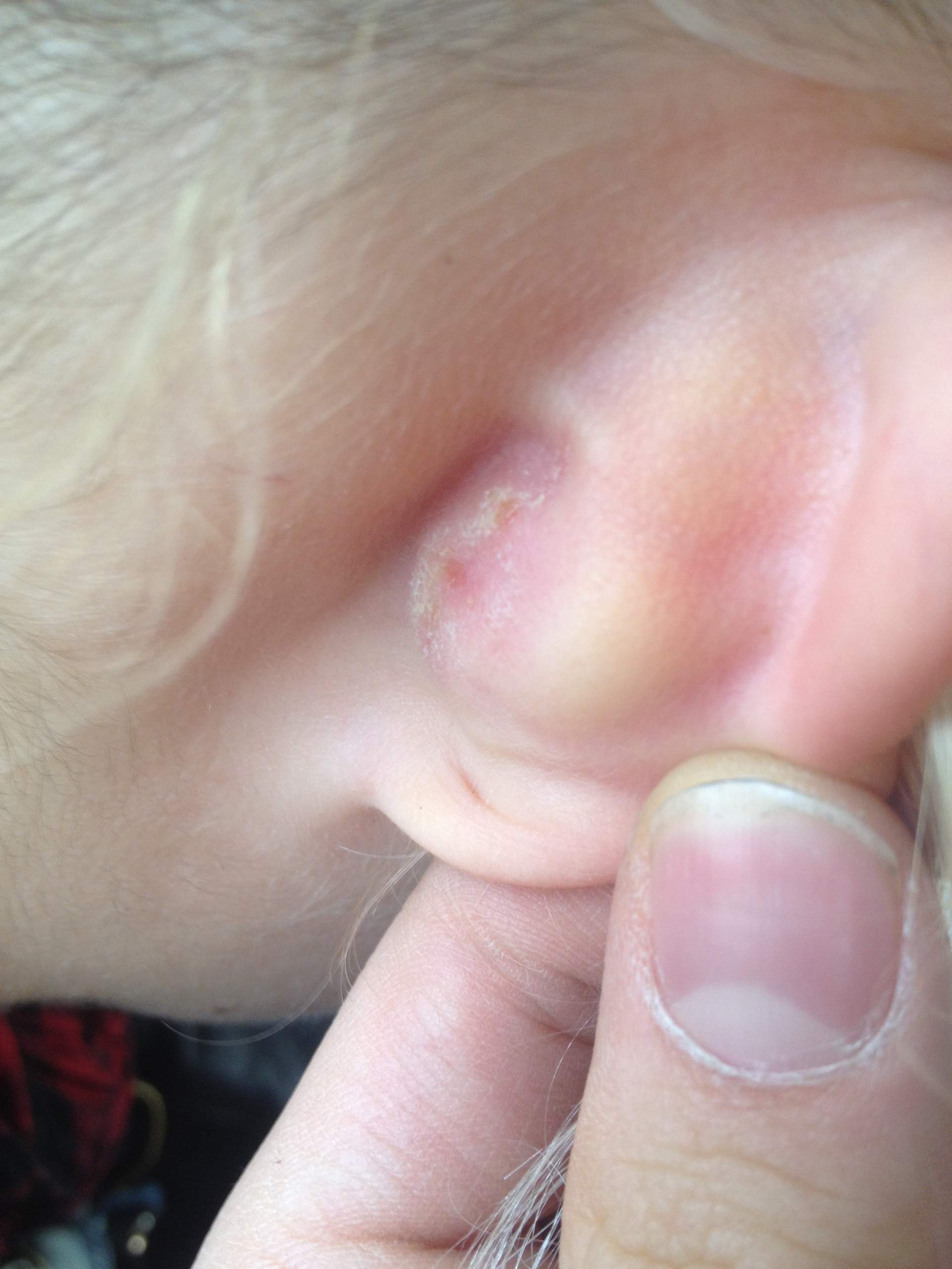 6ktzvjb1glys0m 6ktzvjb1glys0m