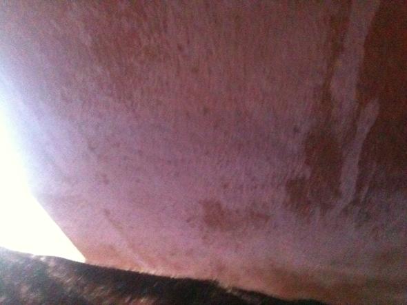 Was Ist Das An Meiner Wand Farbe Schimmel Salpeter