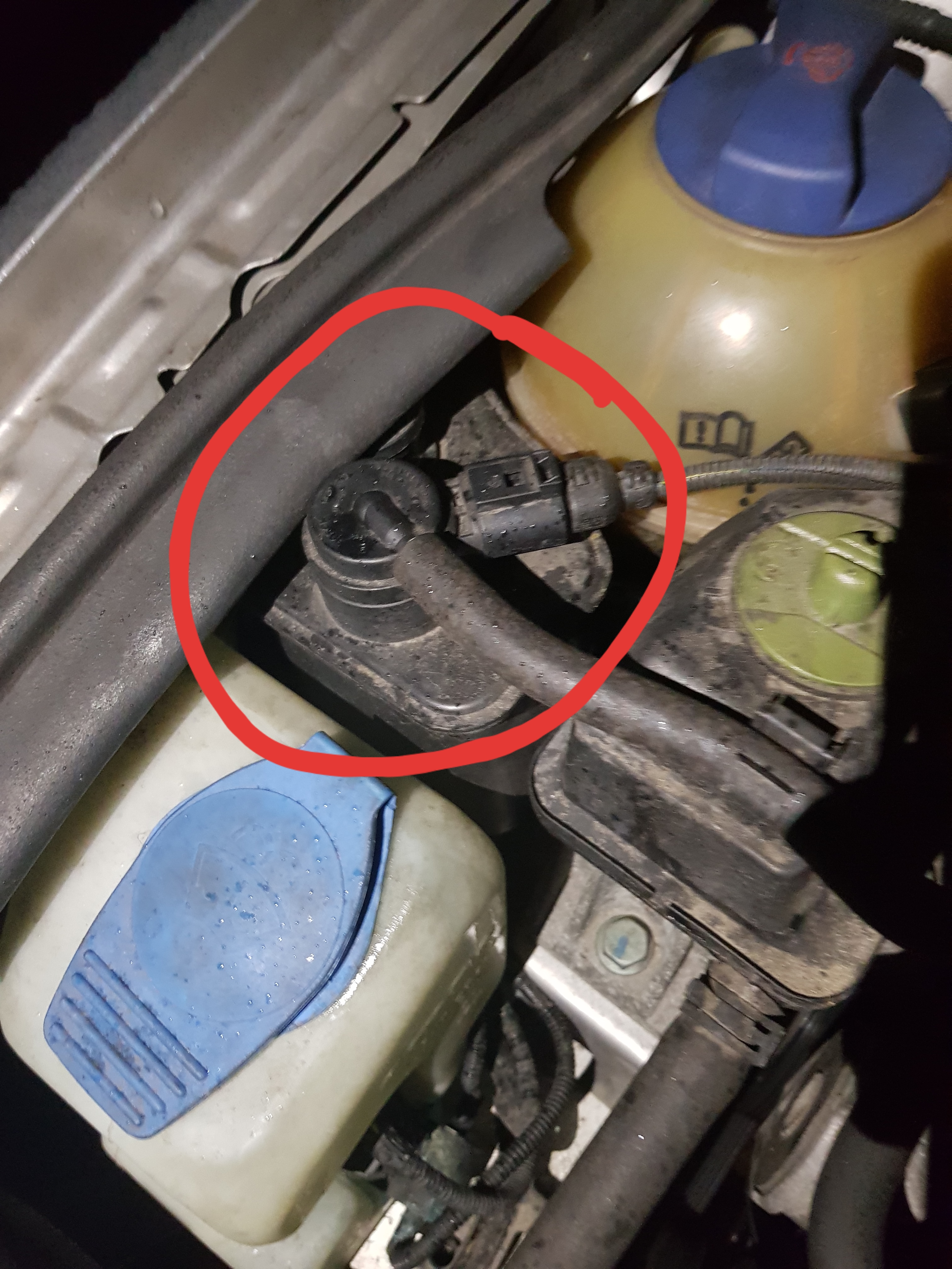 Ich habe mich verlaufen Bewirbt sich Identifizieren audi a3 8l 1.6 zündkerzen wechseln Marxismus ...