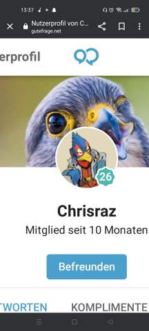 Bild zum Beitrag