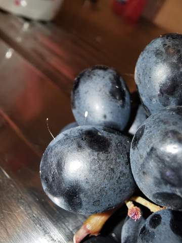 Was ist das auf meinen Weintrauben?
