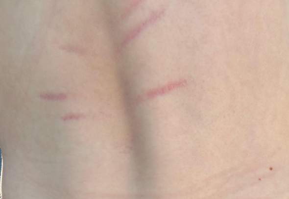 Bild zum Beitrag
