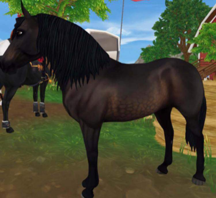 Was ist das beste Pferd in SSO? (Star Stable, Pferderassen)