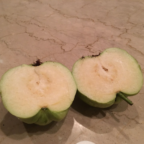 Geschnitten - (Obst, Gemüse, Früchte)