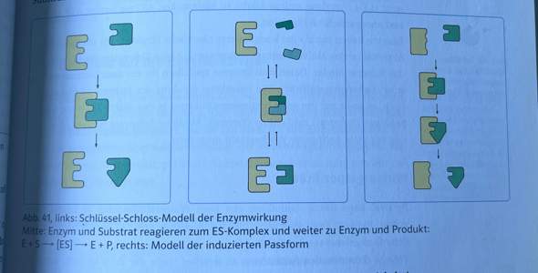 Bild zum Beitrag