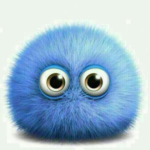 Was Ist Das Fur Ein Bild Blauer Puschel Whatsapp Bedeutung Profilbild