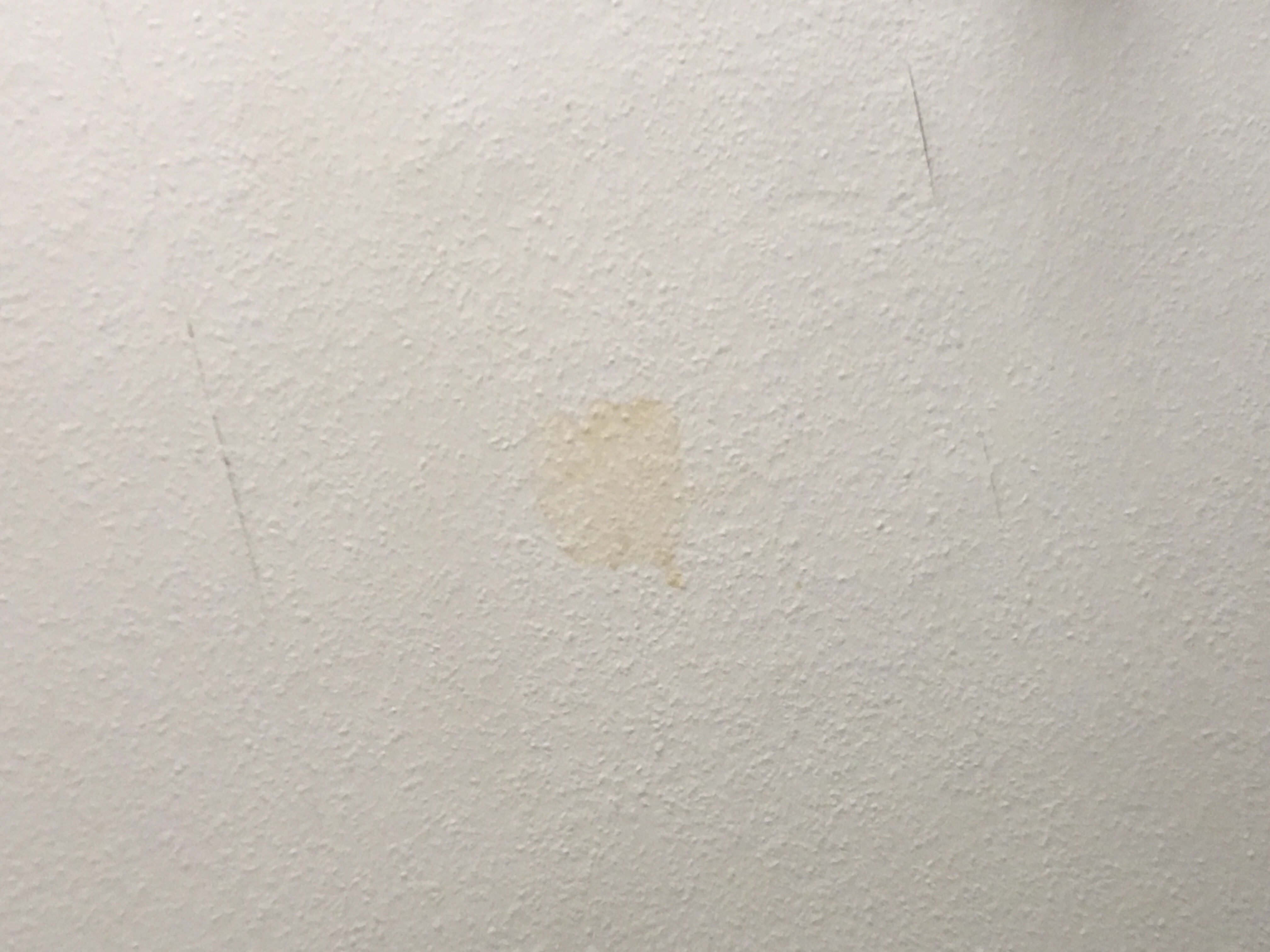 Was ist das für ein Fleck an meiner Decke (Altbau)? (Wohnung, Küche