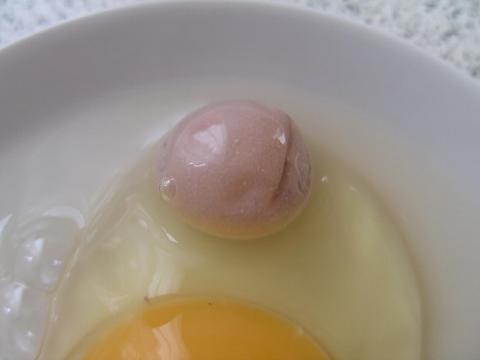 1 Stück Neuankömmling Eier abscheider weißes Eigelb Sieben zu