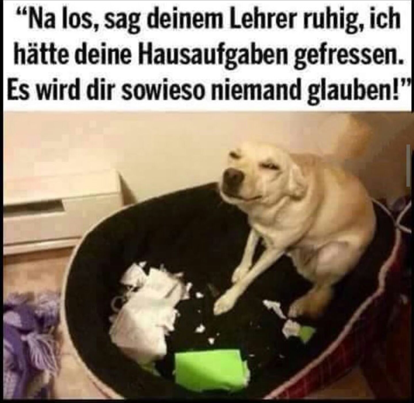 Whatsapp profilbild trend Whatsapp profilbild trend