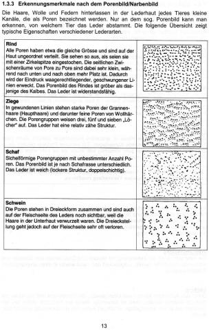 Erkennungsmerkmale - (Leder, Poren, erkennung)