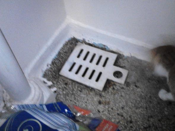 Was Ist Das Fur Ein Loch In Meinem Badezimmer Gestank Abwasser