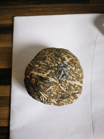 polierten Stein mit Magnet kleben - polierter Stein ca. 5x5x0,5 cm
