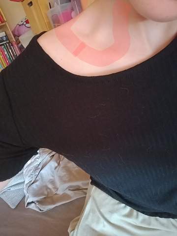 Bild zum Beitrag