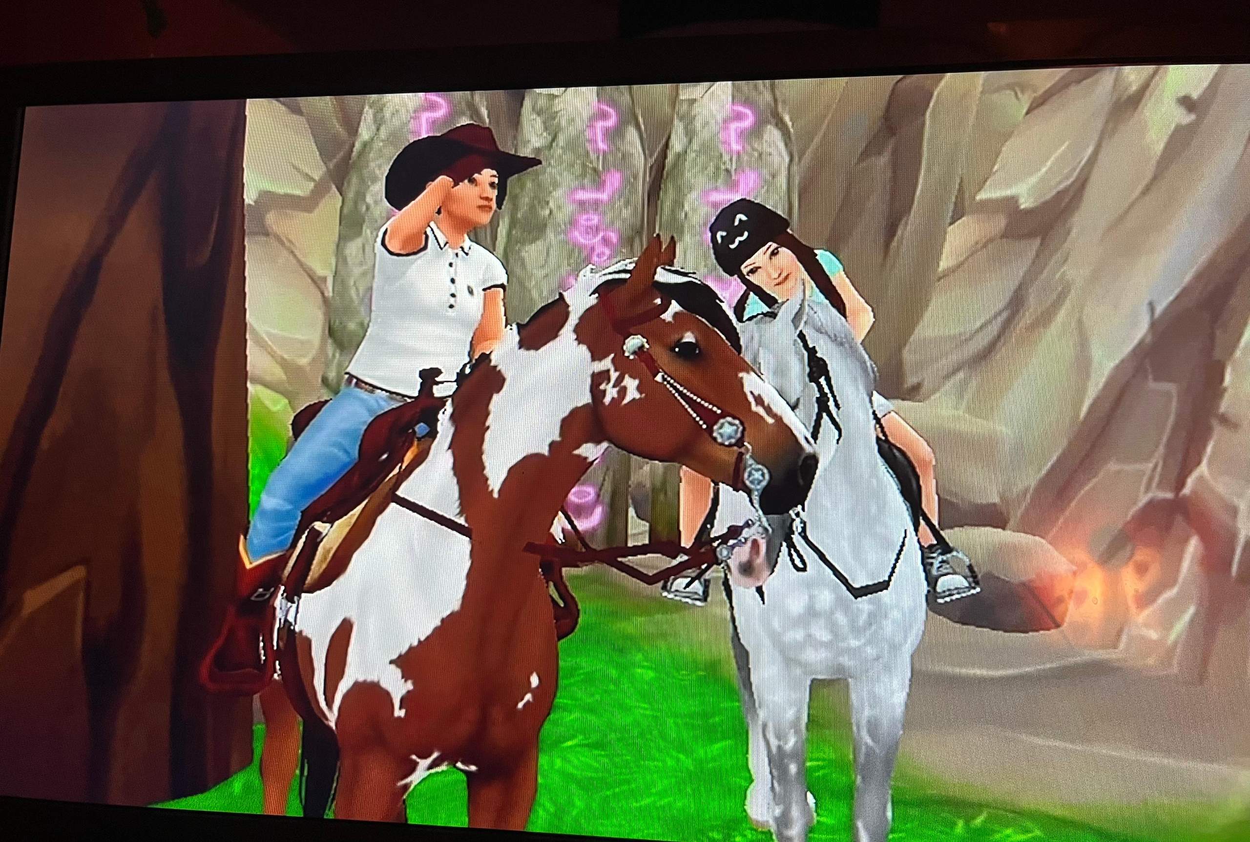 Was ist das für ein Pferd in SSO? (Star Stable, Pferdespiel, Star ...