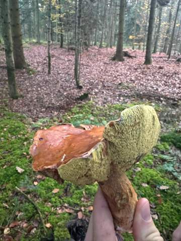 Bild zum Beitrag