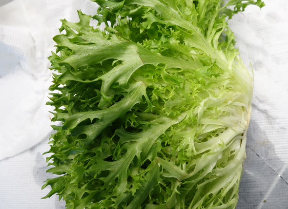Salatkopf - (Gesundheit und Medizin, Ernährung, Essen)