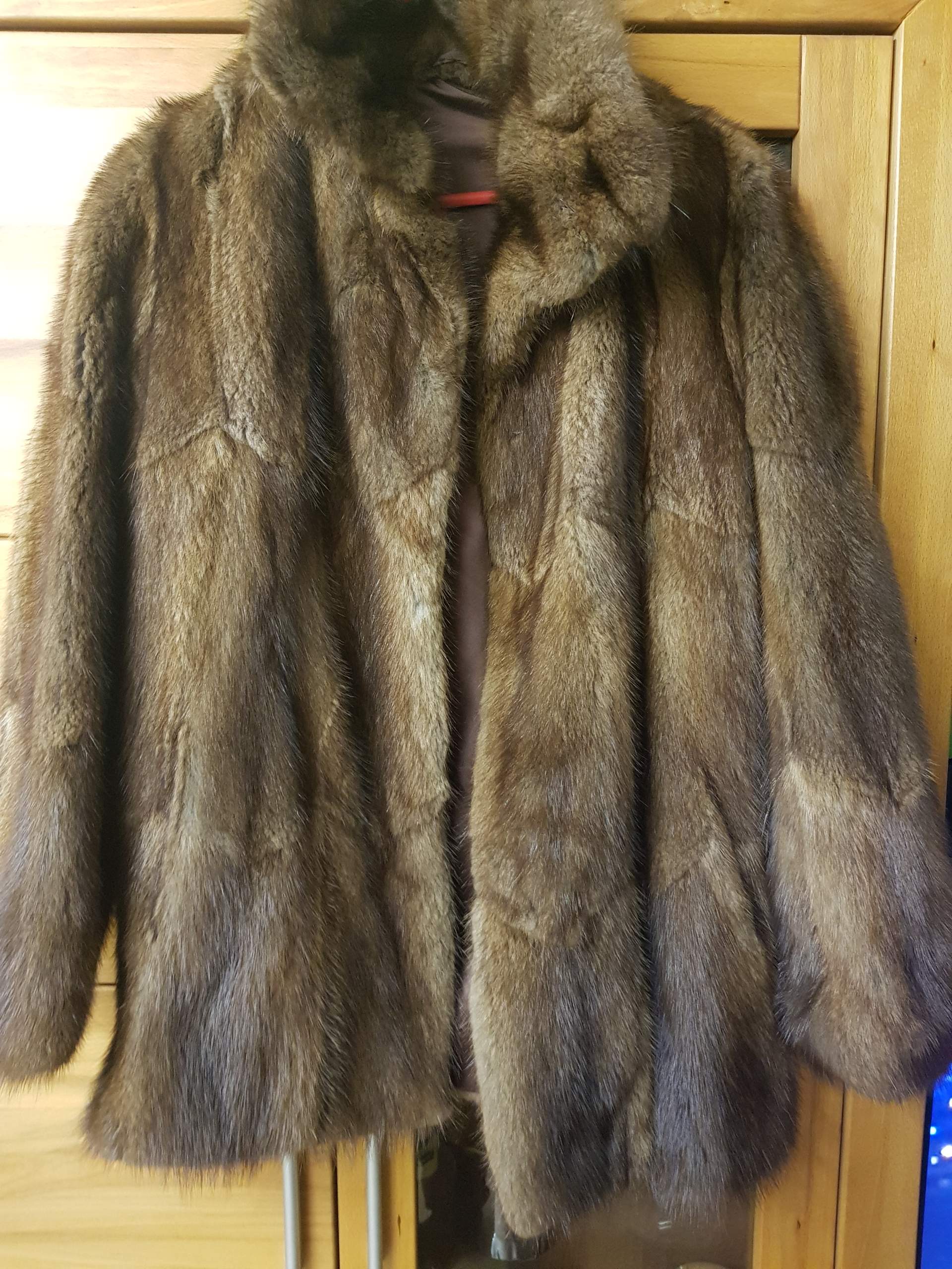 Was ist das für ein Sorte Pelz? (Mode, Kleidung, Biologie) Was ist das für ein Sorte Pelz? (Mode, Kleidung, Biologie)