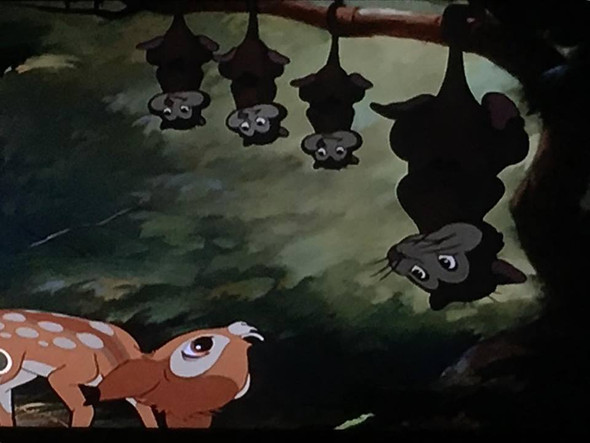 Was Ist Das Fur Ein Tier Im Trickfilm Bambi Film Disney