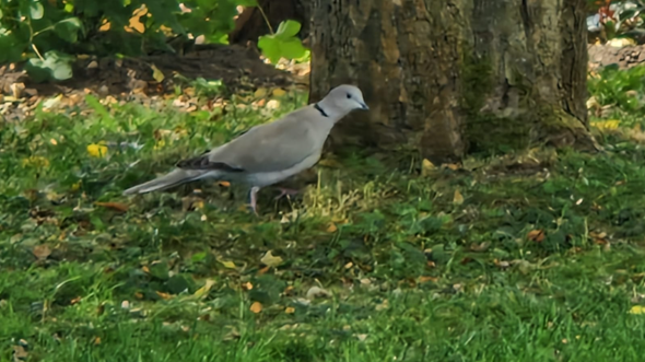Bild zum Beitrag
