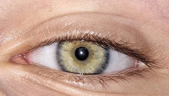 Was ist das für eine Augenfarbe?