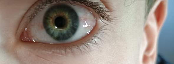 Bild zum Beitrag