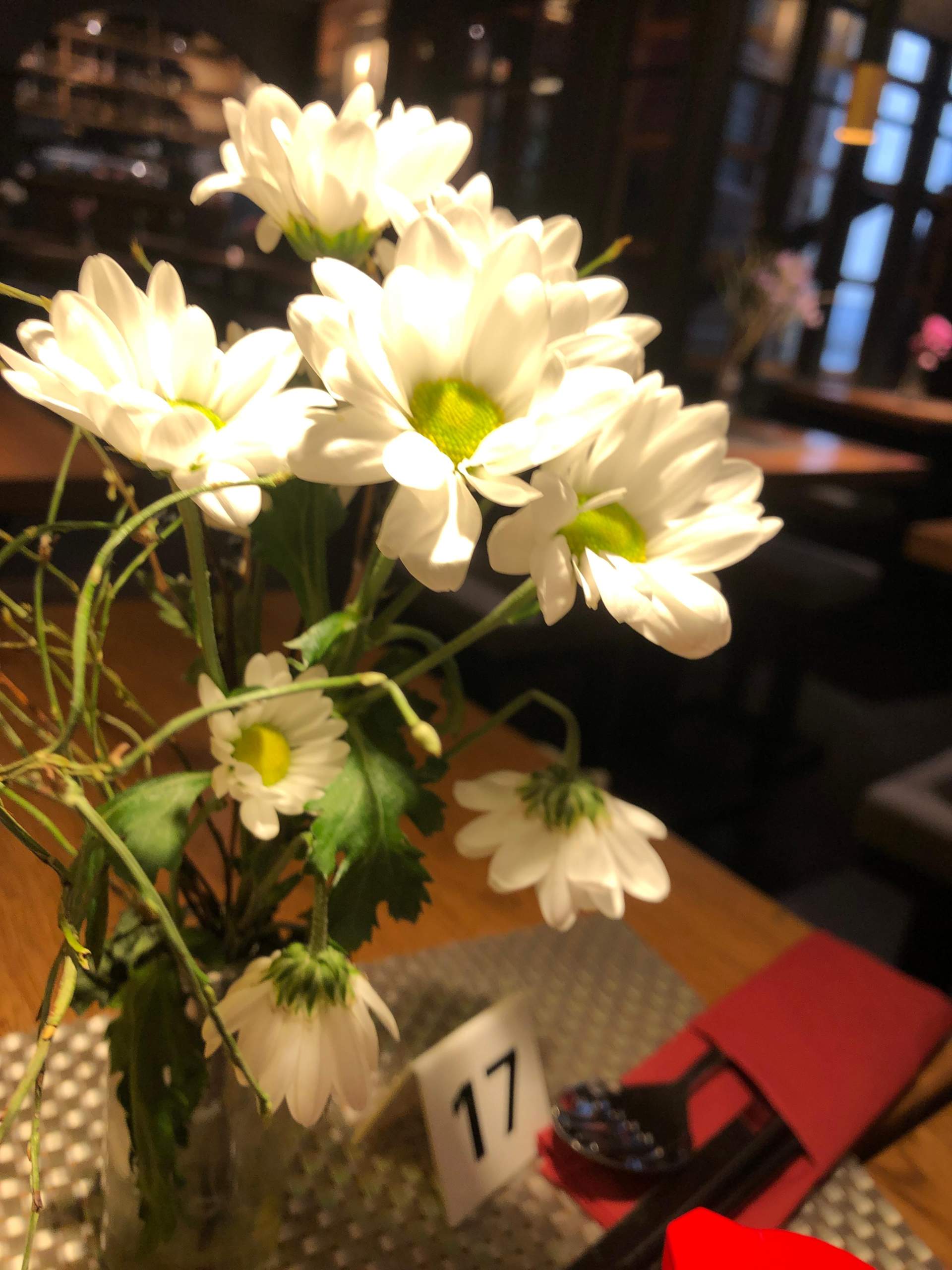Was ist das für eine Blume? (Blumen, Wald, Pflanzenpflege)