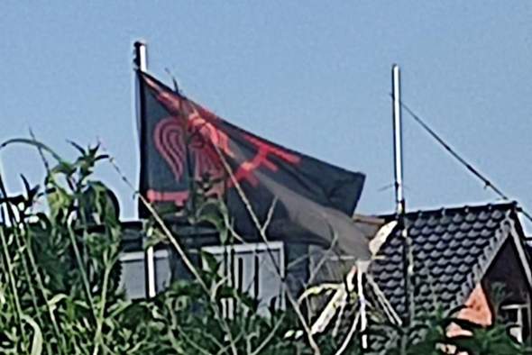 Was ist das für eine Flagge? (Rechtsextremismus, Flaggensymbol