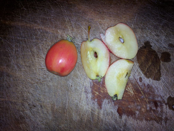 dasdasdas - (Pflanzen, Früchte, Apfel)