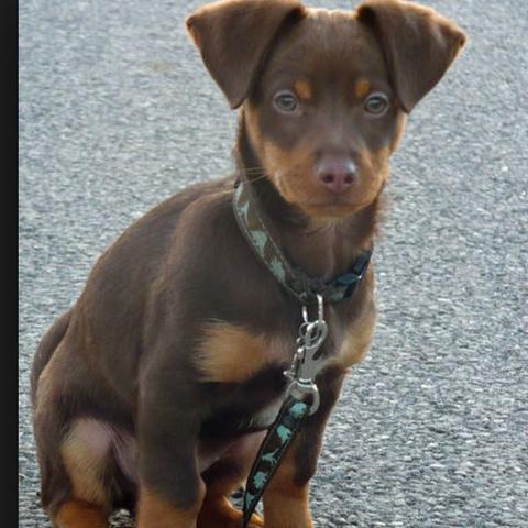 Was ist für eine beziehung wichtig Was ist für eine beziehung wichtig