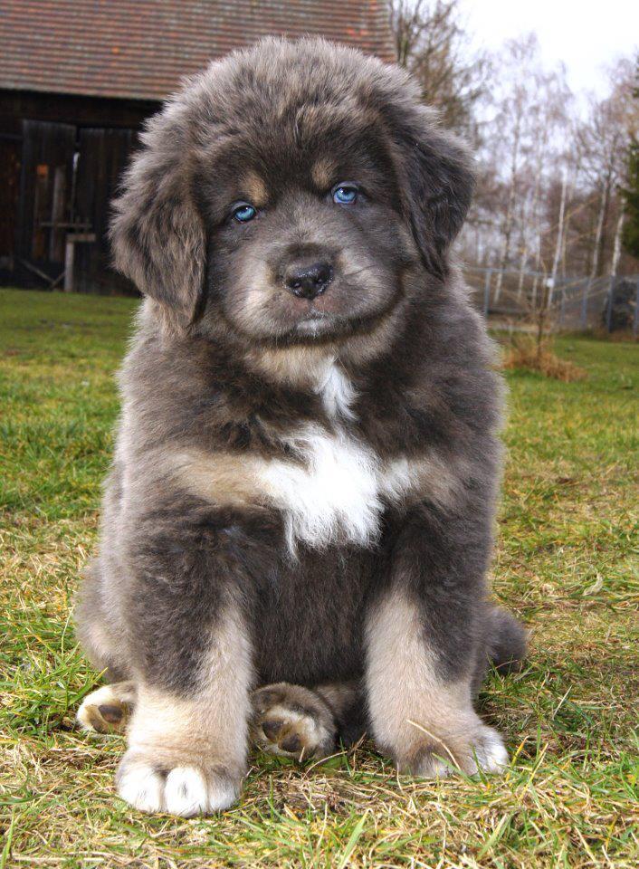 Verliebt sein Verliebt sein