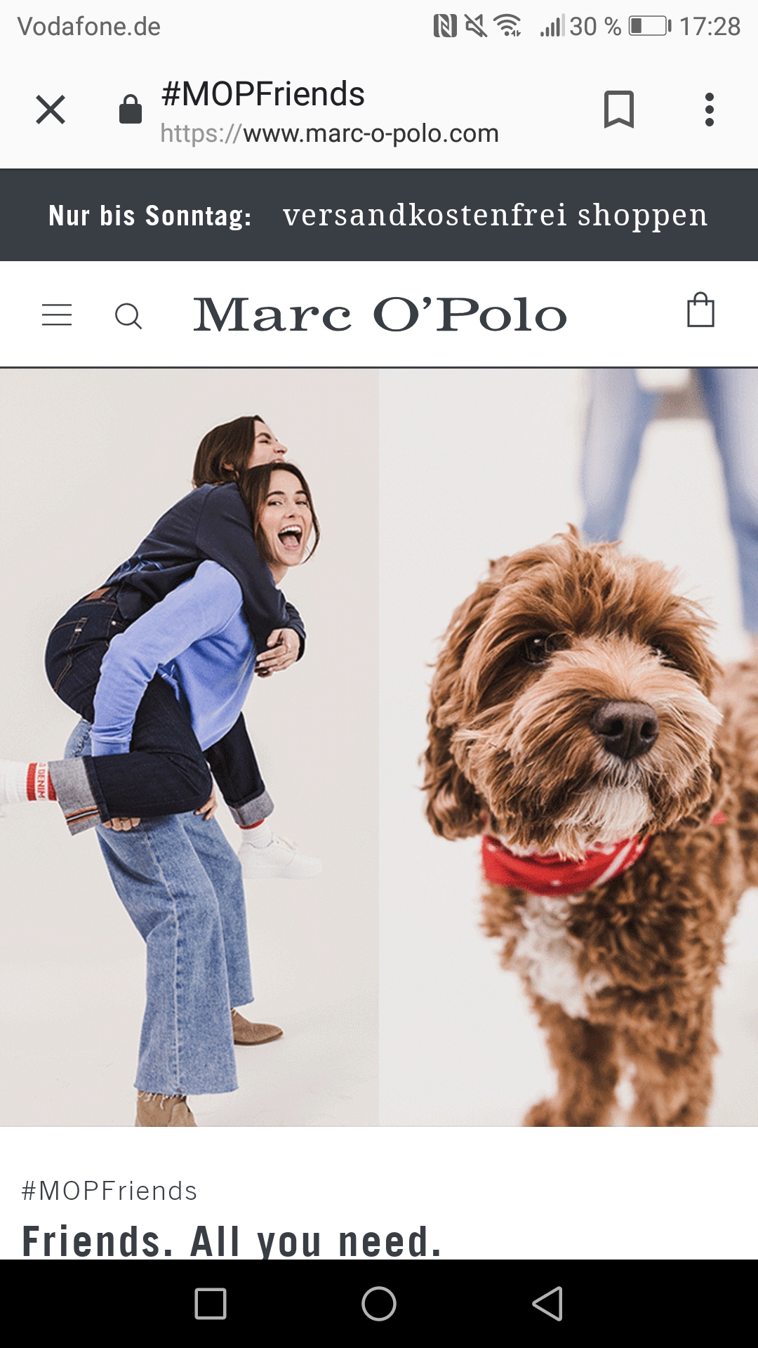 Was ist das für eine hunderasse bei der werbung? (Hund, Rasse)