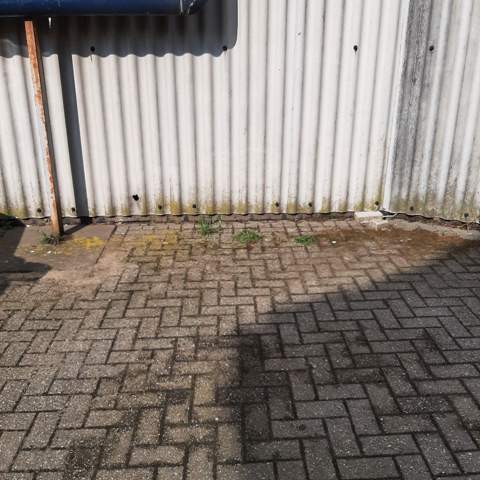 Bild zum Beitrag