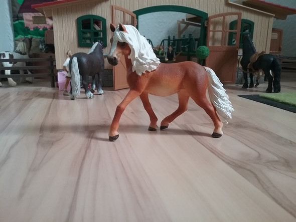 Das Pferd hier - (Pferd, Pony, Spielzeug)