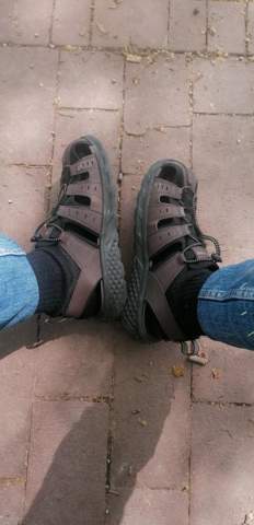 Bild zum Beitrag