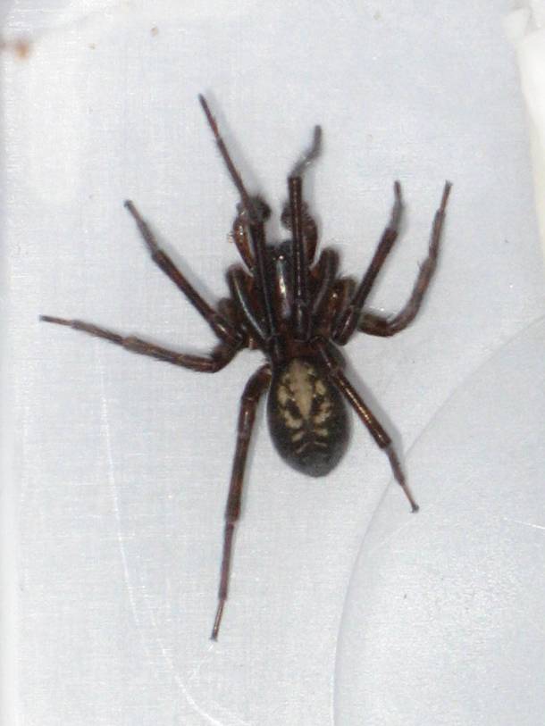 Gay nights in london Gay nights in london