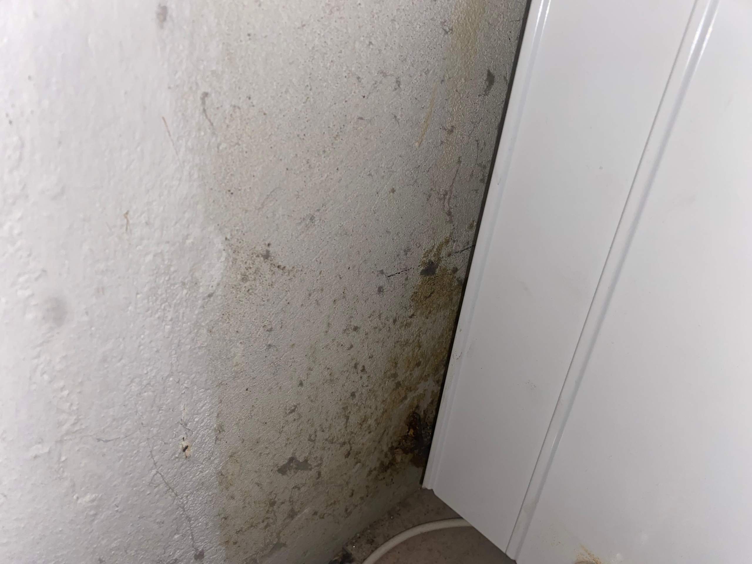 Was ist das hinter meiner heizung? (Schimmel, Sanitär)