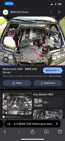 Bild zum Beitrag