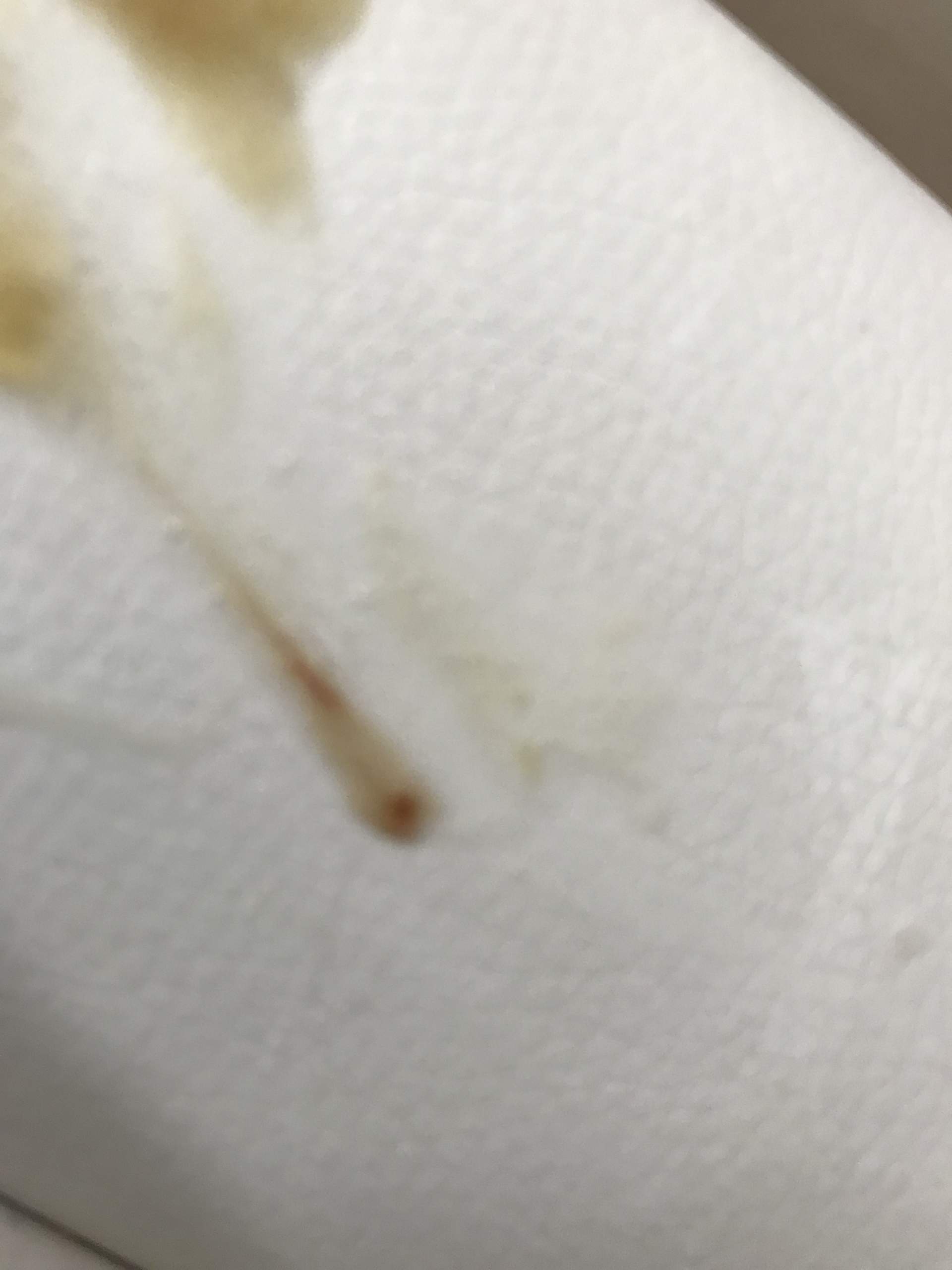 ich bin erkältet lustige bilder