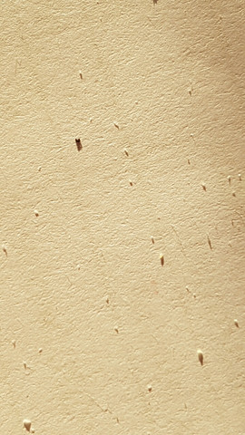 was ist das lause haare