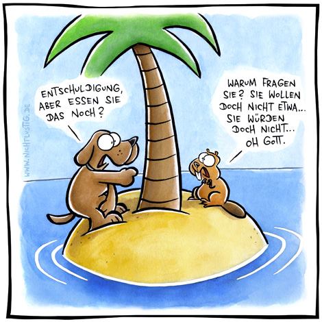 Was ist das lustige an diesem Comic Ich suche und denke ständig ,frage