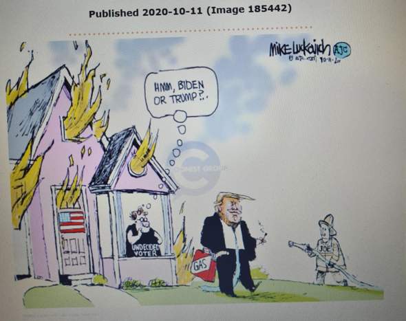 Was Ist Das Thema Dieser Karikatur Schule Politik Praesidentschaftswahl