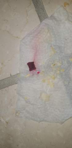 - (Gesundheit und Medizin, Hamster)