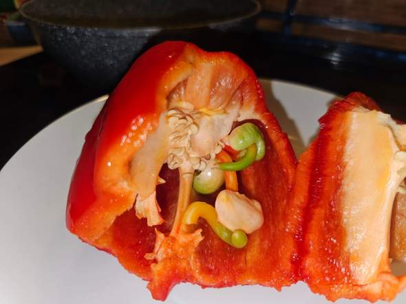 Warum wir mehr Paprika essen sollten! – malunt