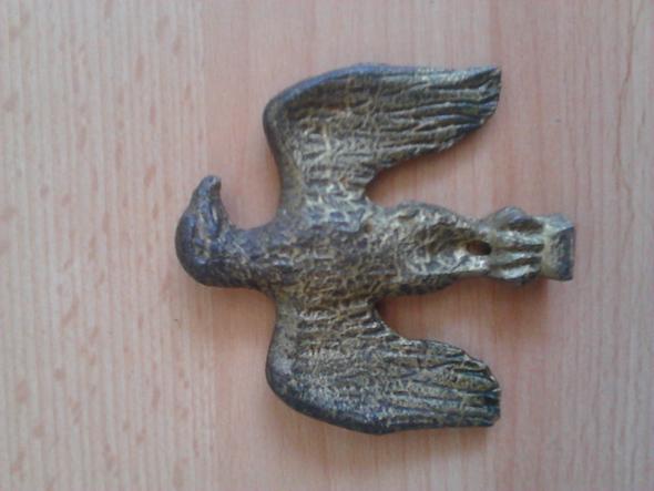 Wie Alt Wird Ein Adler Wie Alt Wird Ein Adler